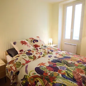 Renting - Pairoliere - Spacious Flat - Old - Massena - Terrace Apartment